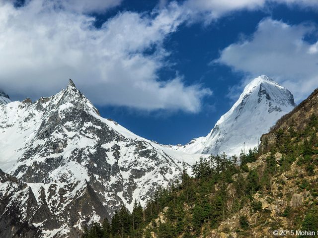 Gangotri hills