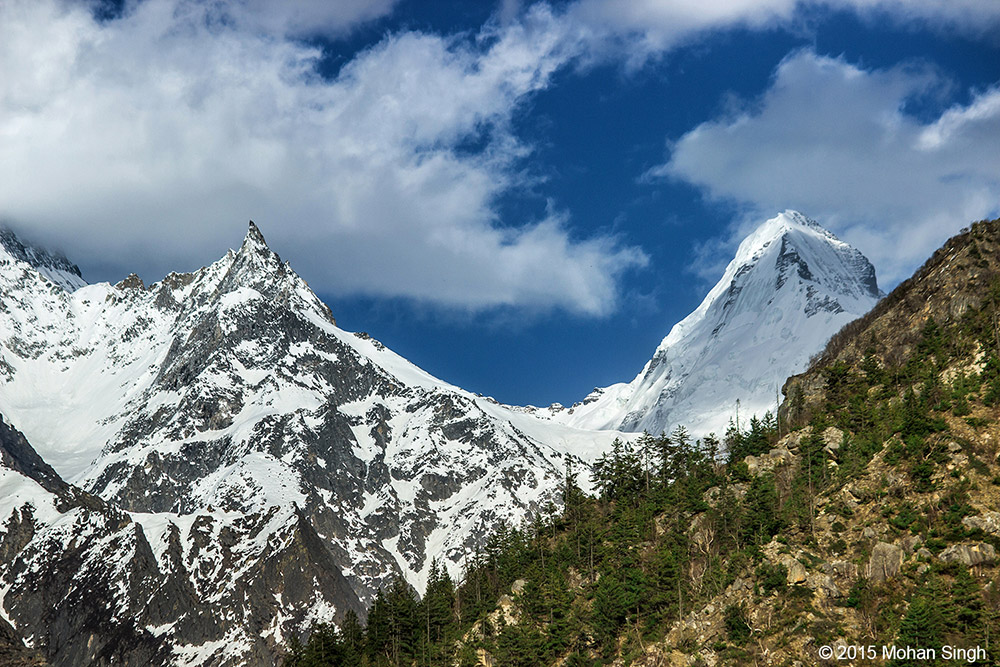 Gangotri hills