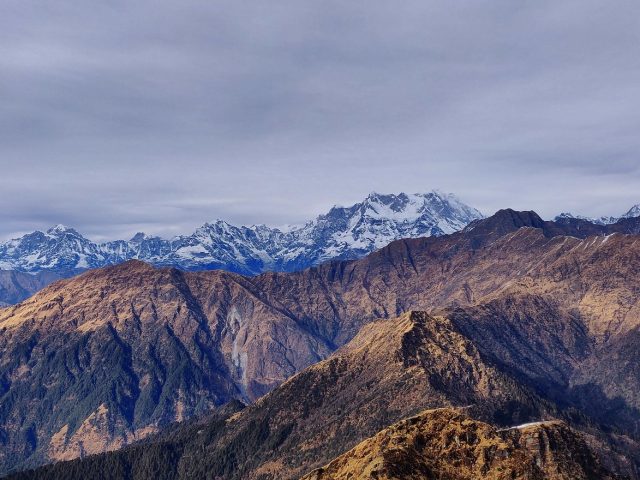 Website Scroll Himalayan