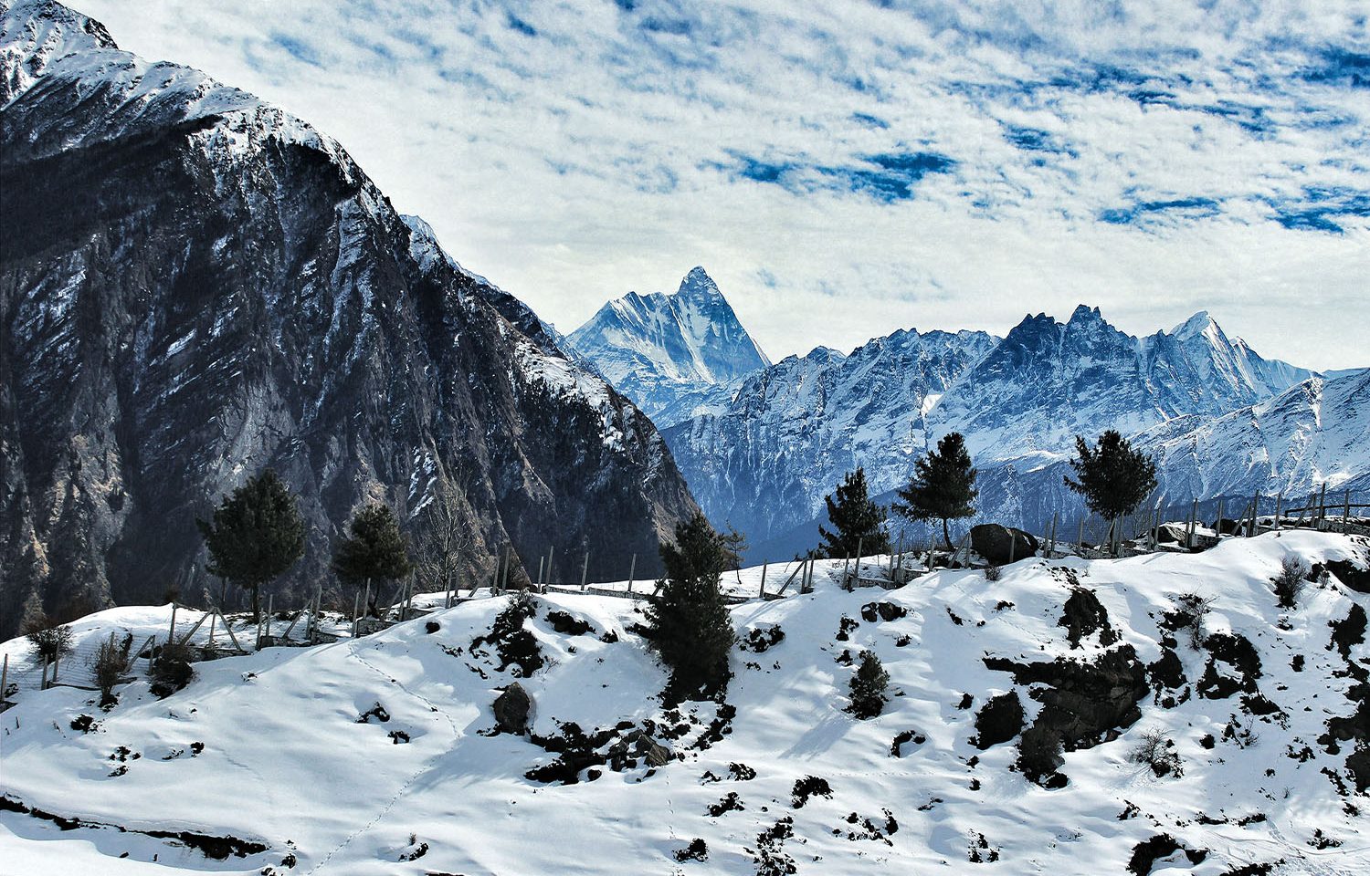 Auli tour package