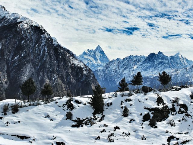 Auli tour package