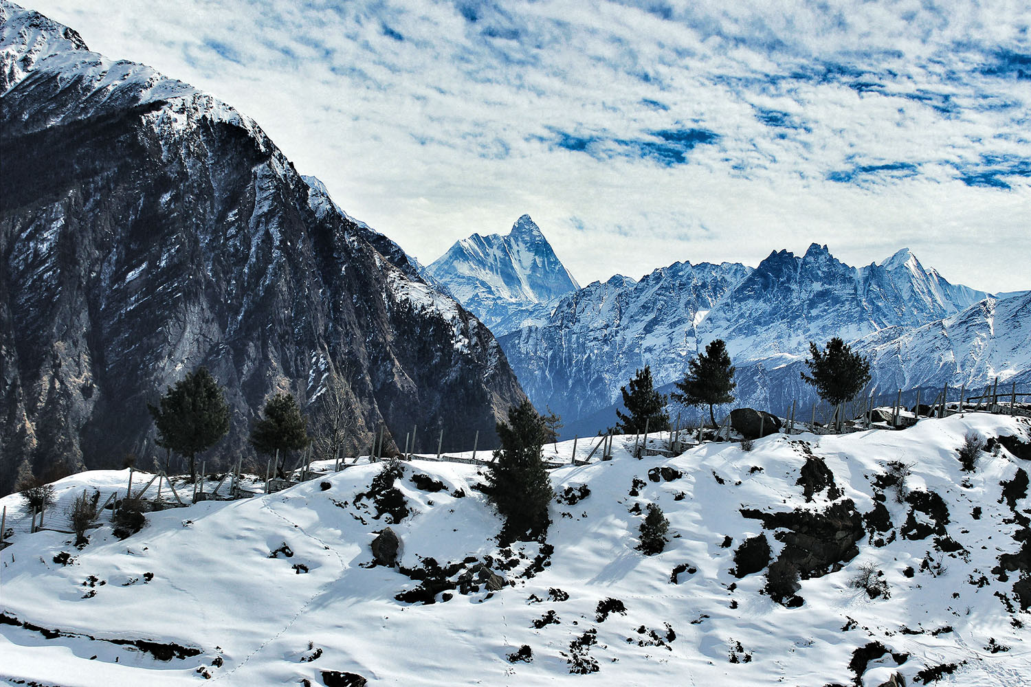 Auli tour package