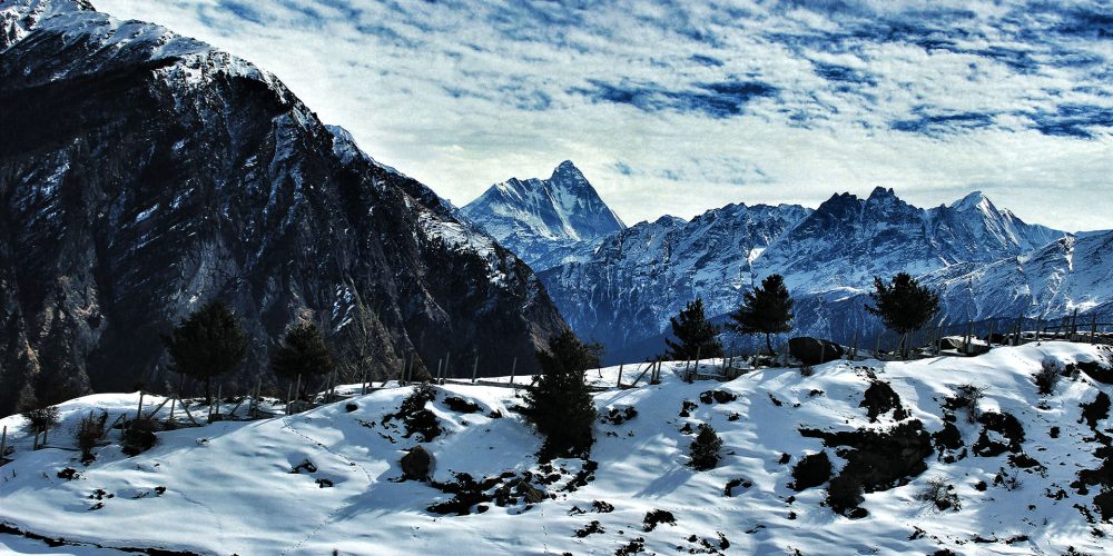 Auli Tourism 2019